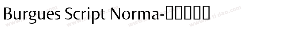 Burgues Script Norma字体转换